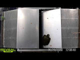 Turtle Relocation Trap
