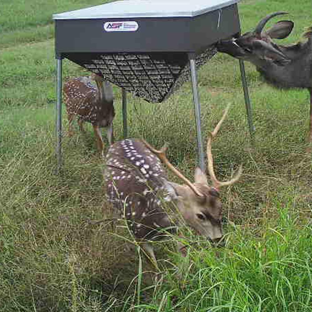 Cottonseed Deer Feeder All Seasons Feeders
