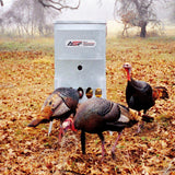 All seasons feeders turkey feeder