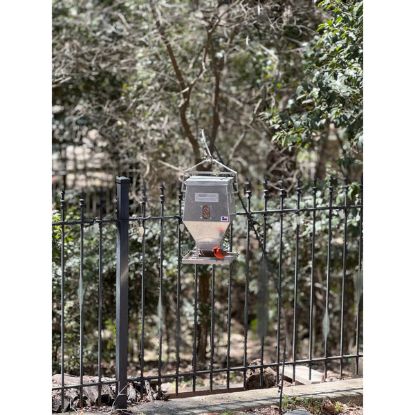WILD-BIRD-FEEDERS All Seasons Feeders