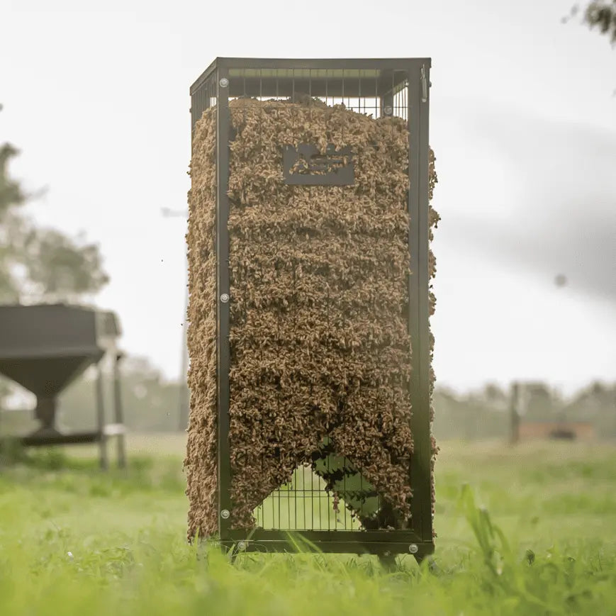 EZ Cottonseed All Seasons Feeders Protein/Cottonseed Feeder