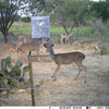 600-lb. Stand & Fill® Broadcast Feeder All Seasons Feeders Broadcast Feeder