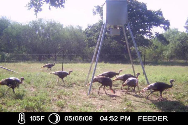 300lb Broadcast w/solar All Seasons Feeders Broadcast Feeder