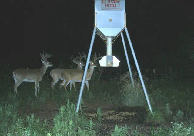 Galvanized Hopper Feeder (300 lb. Protein Capacity) All Seasons Feeders Protein Feeder