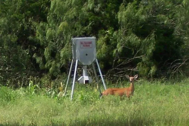 Galvanized Hopper Feeder (300 lb. Protein Capacity) All Seasons Feeders Protein Feeder