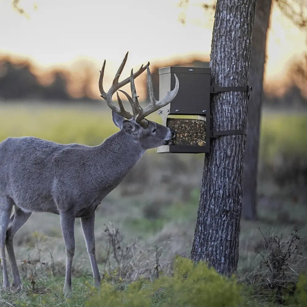 EZ Block Feeder All Seasons Feeders Protein Feeder