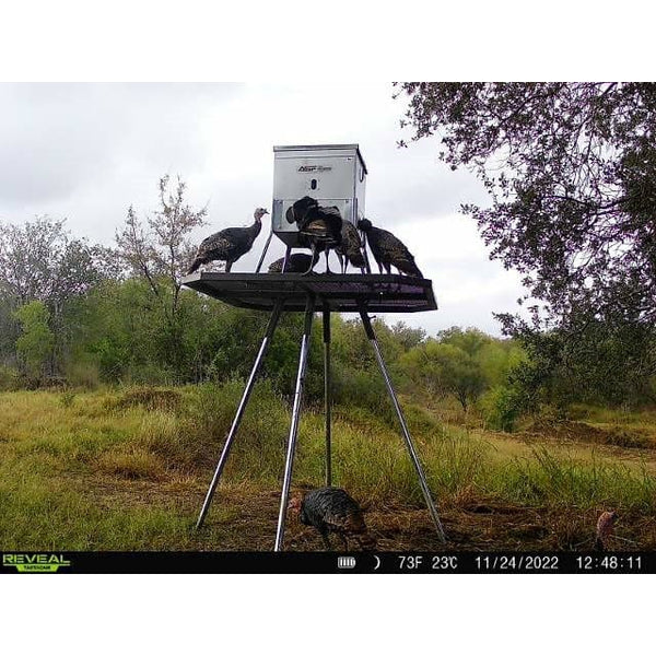 Turkey Feeder Platform All Seasons Feeders Turkey Feeder