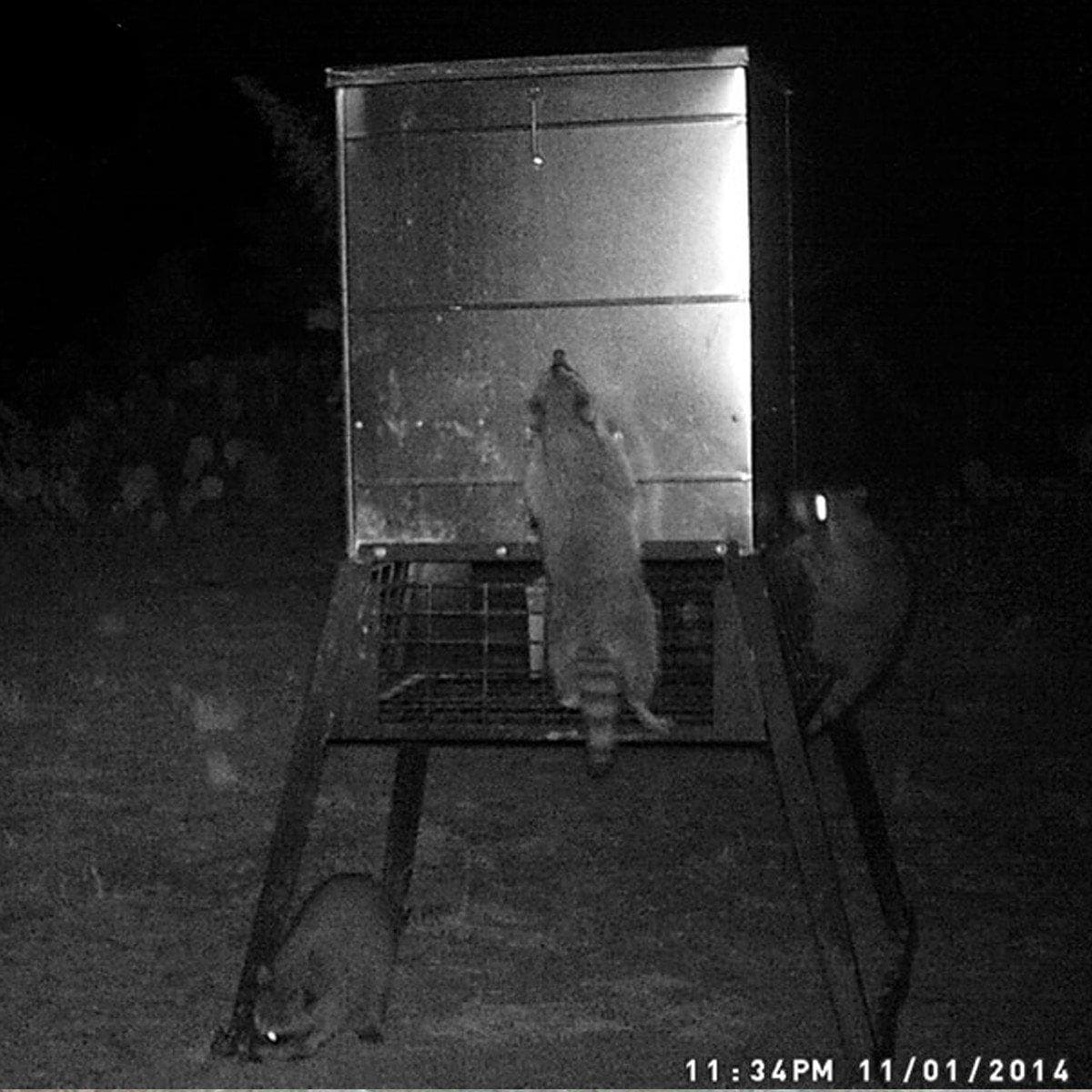 600lb. Stand and Fill Deer Feeder All Seasons Feeders