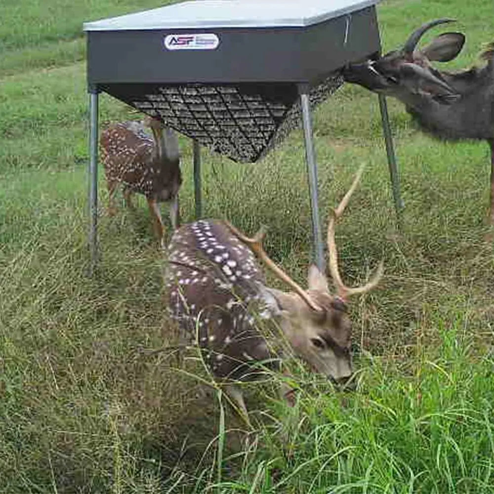 Cottonseed Feeder for Deer & Cattle All Seasons Feeders Cottonseed Feeder