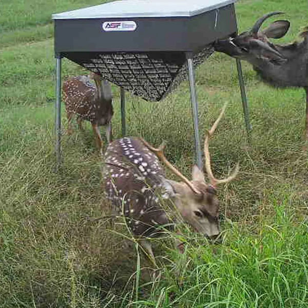 Cottonseed Feeder for Deer & Cattle All Seasons Feeders Cottonseed Feeder