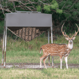 1,000lb Cottonseed Feeder