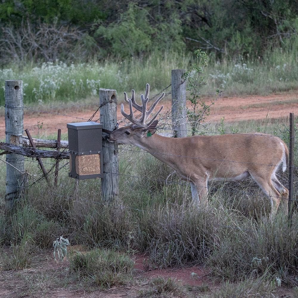 EZ Deer Block Feeder Protein Deer Block Holder All Seasons Feeders