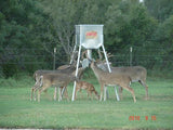 Galvanized Hopper Feeder (300 lb. Protein Capacity)