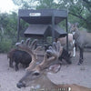 Low Pro Feeders All Seasons Feeders Protein Feeder