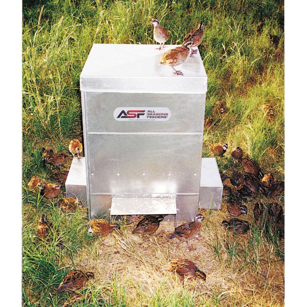 Quail Feeder Wild Game Bird Feeder All Seasons Feeders