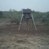 500lb Stand & Fill® Protein Feeder All Seasons Feeders Protein Feeder